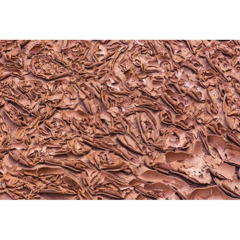 UT, Glen Canyon Dried mud left by Lake Powell Black Modern Wood Framed Art Print by Paulson, Don