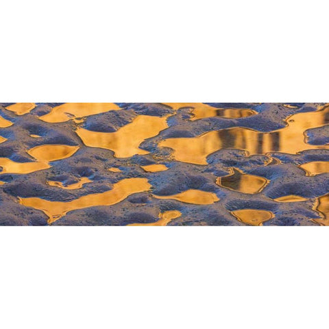 Utah, Glen Canyon Pool of water reflects a cliff Black Modern Wood Framed Art Print by Paulson, Don