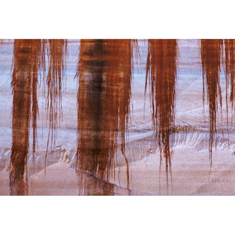 UT, Glen Canyon Sandstone with varnish stains Black Modern Wood Framed Art Print by Paulson, Don
