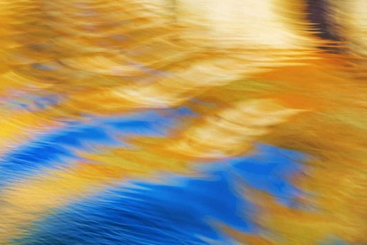 Image Only