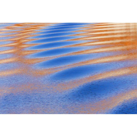 Utah, Glen Canyon Reflection in Lake Powell Black Modern Wood Framed Art Print by Paulson, Don