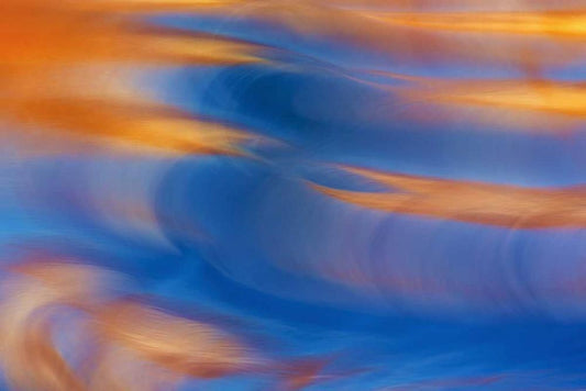 Image Only