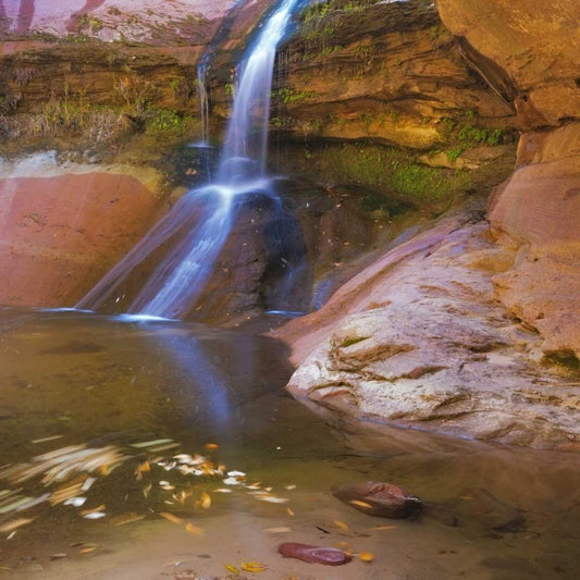 Image Only