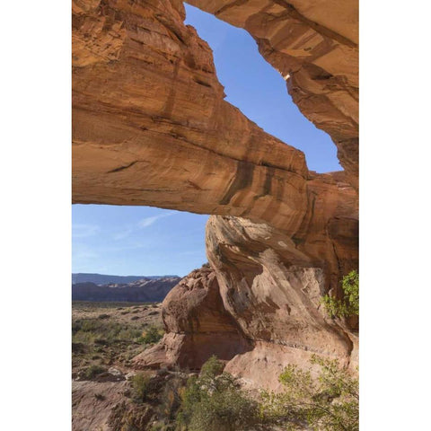 Utah, Glen Canyon NRA Close-up of Jacks Arch Black Modern Wood Framed Art Print by Paulson, Don