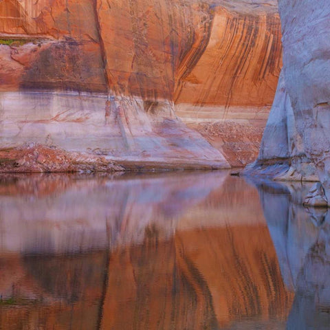 Utah, Glen Canyon Abstract reflection sandstone Black Modern Wood Framed Art Print by Paulson, Don