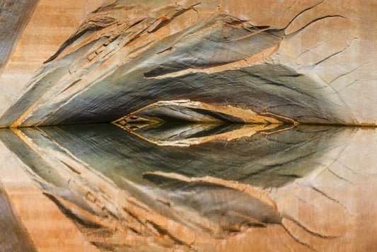 Image Only