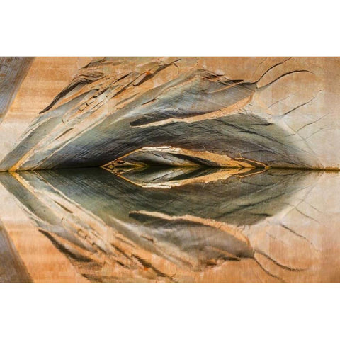 Utah, Glen Canyon Abstract reflection sandstone Black Modern Wood Framed Art Print by Paulson, Don