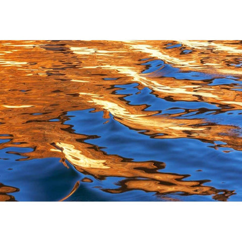 Utah, Glen Canyon Reflection in Lake Powell Black Modern Wood Framed Art Print by Paulson, Don