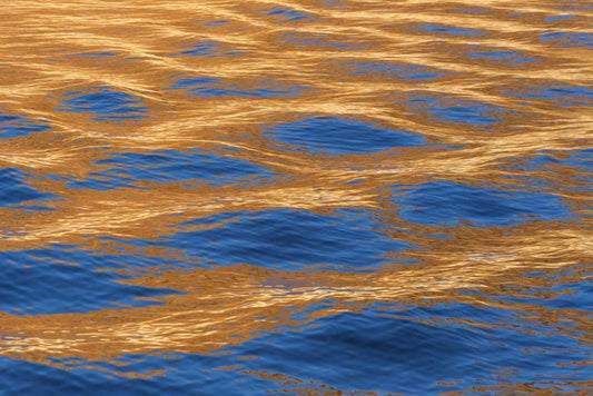 Image Only