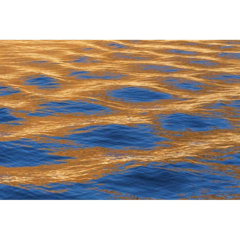 Utah, Glen Canyon Reflection in Lake Powell Black Modern Wood Framed Art Print by Paulson, Don