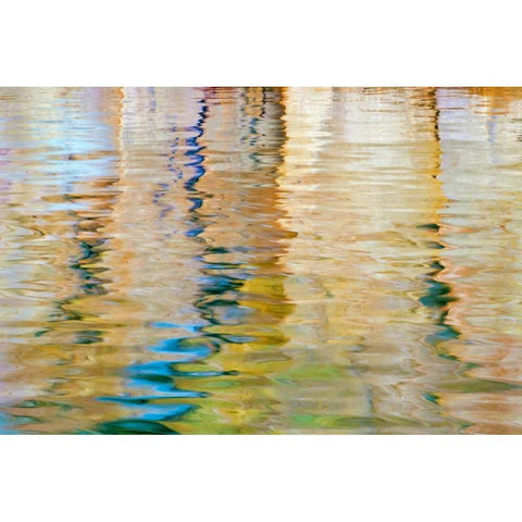 Utah, Glen Canyon Reflection in Lake Powell Black Modern Wood Framed Art Print with Double Matting by Paulson, Don