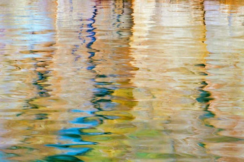 Utah, Glen Canyon Reflection in Lake Powell Black Ornate Wood Framed Art Print with Double Matting by Paulson, Don