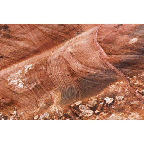 UT, Glen Canyon Patterns in rock formation Black Modern Wood Framed Art Print by Paulson, Don
