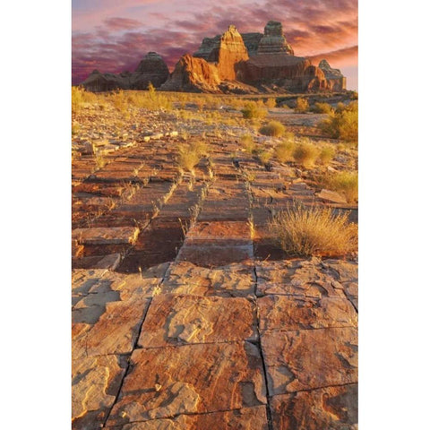 Utah, Glen Canyon Sunset on sandstone formations White Modern Wood Framed Art Print by Paulson, Don