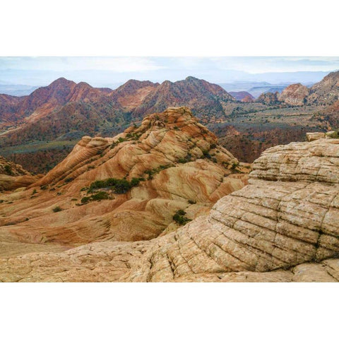 Utah Landscape in Dixie National Forest Black Modern Wood Framed Art Print by Paulson, Don