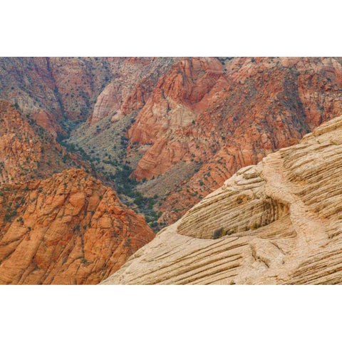 Utah Landscape in Dixie National Forest Black Modern Wood Framed Art Print with Double Matting by Paulson, Don