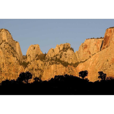 UT, Zion NP Towers of the Virgin River, sunrise Black Modern Wood Framed Art Print with Double Matting by Bush, Marie