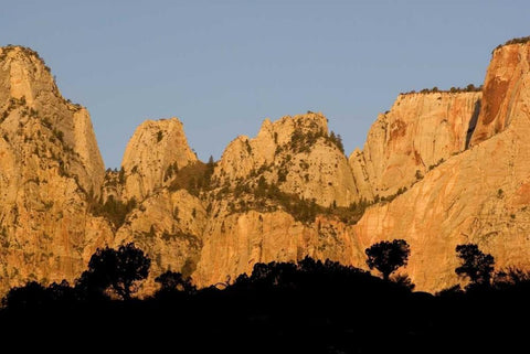 UT, Zion NP Towers of the Virgin River, sunrise White Modern Wood Framed Art Print with Double Matting by Bush, Marie