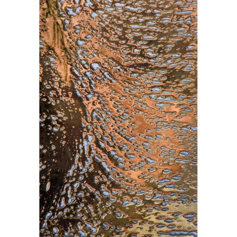 USA, Utah, Zion NP Water abstract Gold Ornate Wood Framed Art Print with Double Matting by Bush, Marie