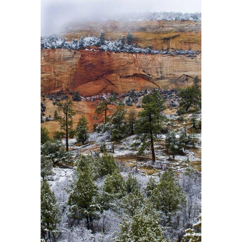 USA, Utah, Zion NP Winter scenic Black Modern Wood Framed Art Print by Rotenberg, Nancy
