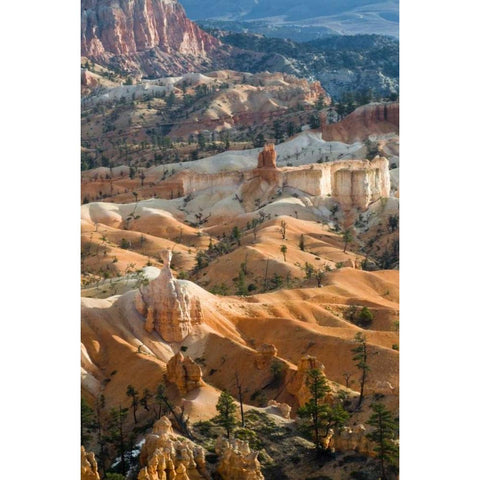 USA, Utah Hoodoo formations in Bryce Canyon NP Black Modern Wood Framed Art Print by Rotenberg, Nancy