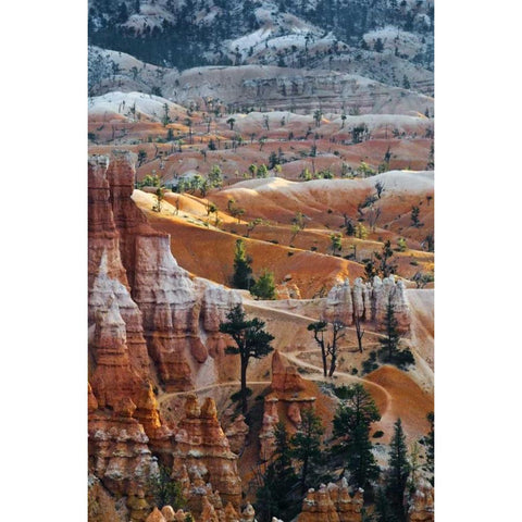USA, Utah Hoodoo formations in Bryce Canyon NP Black Modern Wood Framed Art Print by Rotenberg, Nancy