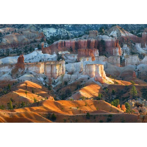 USA, Utah Hoodoo formations in Bryce Canyon NP Black Modern Wood Framed Art Print by Rotenberg, Nancy