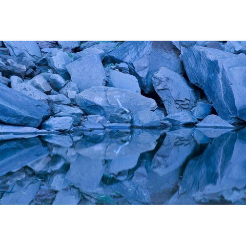 UT, Zion NP Reflection in Upper Emerald Pool Black Modern Wood Framed Art Print by Bush, Marie