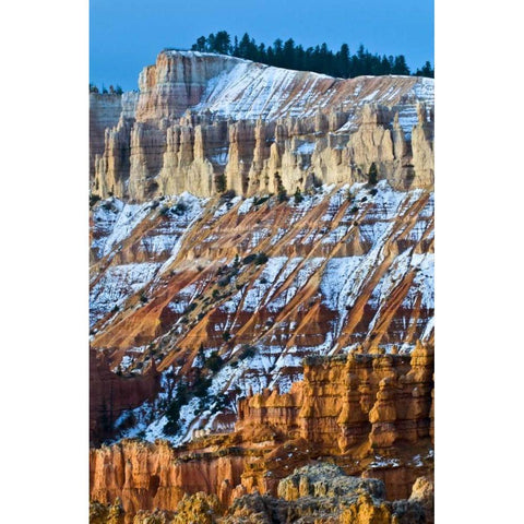 Utah Snowy hoodoo formations in Bryce Canyon NP Gold Ornate Wood Framed Art Print with Double Matting by Rotenberg, Nancy