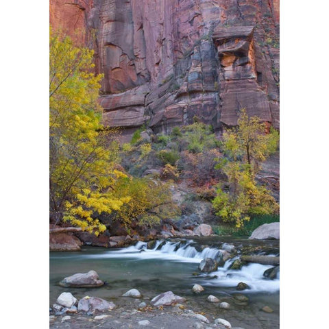 UT, Zion NP The Narrows with cottonwood trees Black Modern Wood Framed Art Print by Rotenberg, Nancy