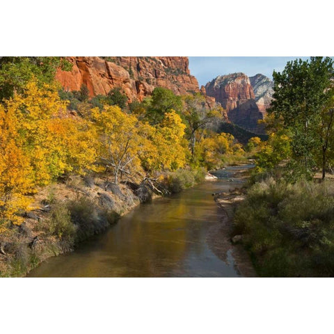 UT, Zion NP Zion Canyon and Virgin River Gold Ornate Wood Framed Art Print with Double Matting by Rotenberg, Nancy