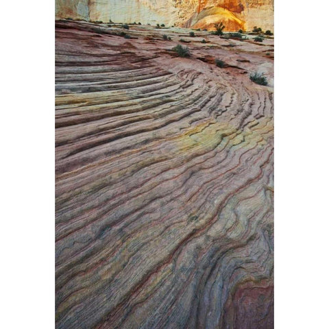 UT, Zion NP Slick rock and red rock Gold Ornate Wood Framed Art Print with Double Matting by Rotenberg, Nancy
