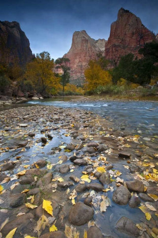 UT, Zion NP The Sentinel and the Virgin River Black Ornate Wood Framed Art Print with Double Matting by Rotenberg, Nancy