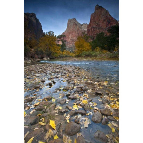 UT, Zion NP The Sentinel and the Virgin River Black Modern Wood Framed Art Print with Double Matting by Rotenberg, Nancy