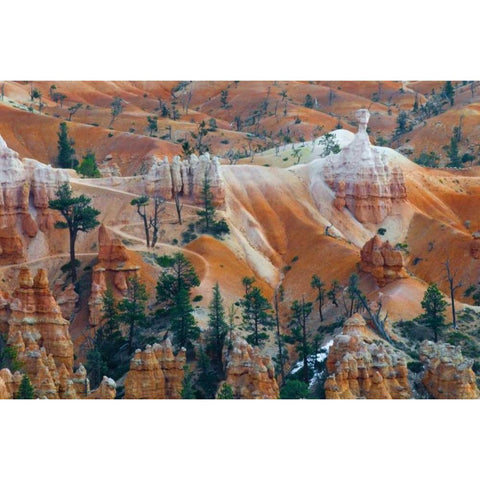 USA, Utah Hoodoo formations in Bryce Canyon NP Black Modern Wood Framed Art Print by Rotenberg, Nancy
