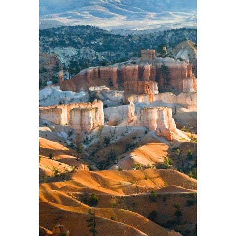 USA, Utah Hoodoo formations in Bryce Canyon NP Black Modern Wood Framed Art Print with Double Matting by Rotenberg, Nancy
