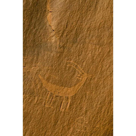 Utah, Monument Valley Petroglyphs on stone wall White Modern Wood Framed Art Print by Rotenberg, Nancy