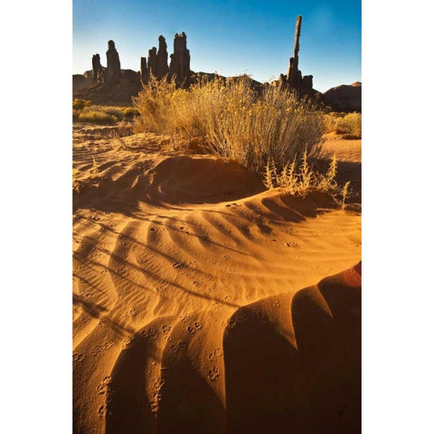 UT, Monument Valley Totem pole and sand dunes Black Modern Wood Framed Art Print with Double Matting by Rotenberg, Nancy