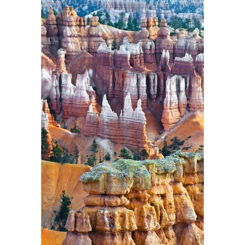 USA, Utah Hoodoo formations in Bryce Canyon NP Black Modern Wood Framed Art Print by Rotenberg, Nancy