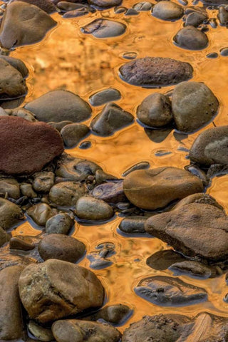 USA, Utah, Zion NP Rocks in water Black Ornate Wood Framed Art Print with Double Matting by OBrien, Jay