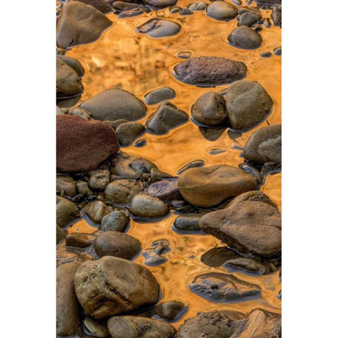 USA, Utah, Zion NP Rocks in water Black Modern Wood Framed Art Print by OBrien, Jay