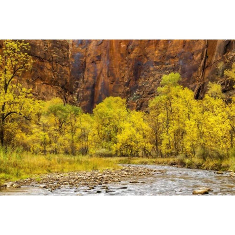 USA, Utah, Zion NP Stream in autumn landscape Black Modern Wood Framed Art Print with Double Matting by OBrien, Jay