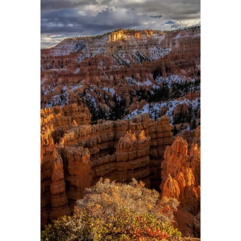 Utah, Bryce Canyon Fall snow on rock formations Black Modern Wood Framed Art Print by OBrien, Jay