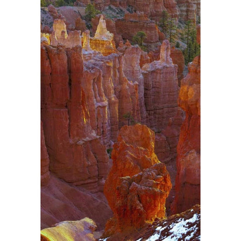 USA, Utah, Bryce Canyon NP Close-up of hoodoos White Modern Wood Framed Art Print by OBrien, Jay