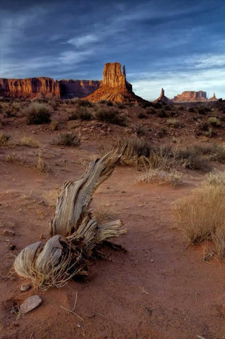 Utah, Monument Valley Eroded rock formations White Modern Wood Framed Art Print with Double Matting by OBrien, Jay
