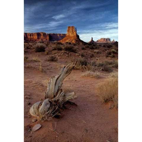 Utah, Monument Valley Eroded rock formations White Modern Wood Framed Art Print by OBrien, Jay