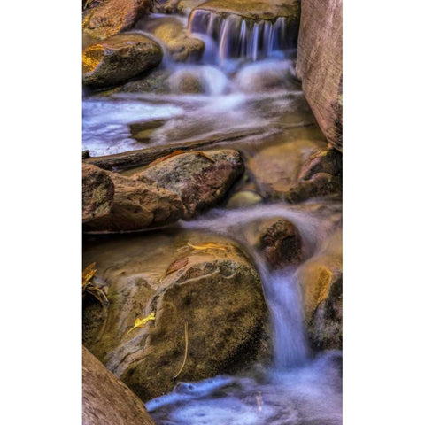 USA, Utah, Zion NP Rocks in stream Gold Ornate Wood Framed Art Print with Double Matting by OBrien, Jay