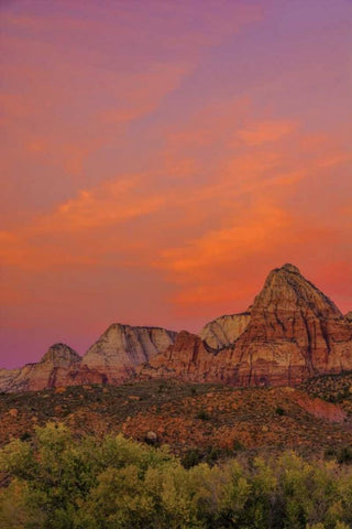 USA, Utah, Zion NP Mountain landscape Black Ornate Wood Framed Art Print with Double Matting by OBrien, Jay