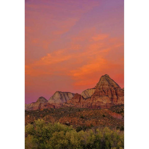 USA, Utah, Zion NP Mountain landscape Black Modern Wood Framed Art Print with Double Matting by OBrien, Jay