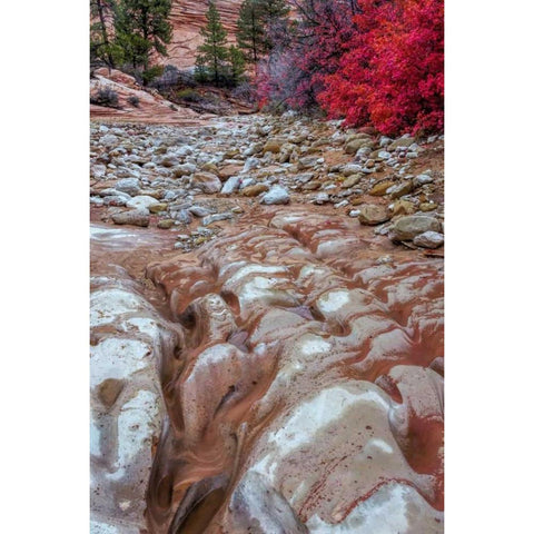 USA, Utah, Zion NP Ground rock pattern Black Modern Wood Framed Art Print by OBrien, Jay